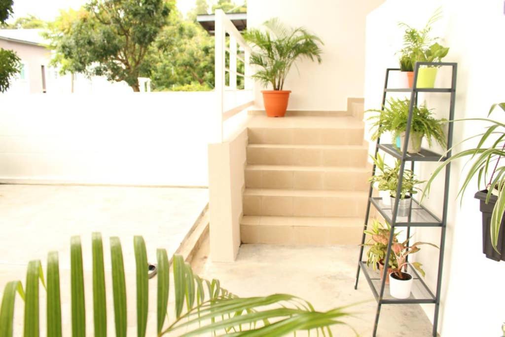 New Seaview Cozy Modern Beach House Tanjung Bungah  Εξωτερικό φωτογραφία
